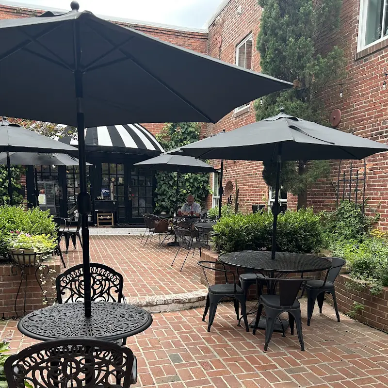 The Ivy