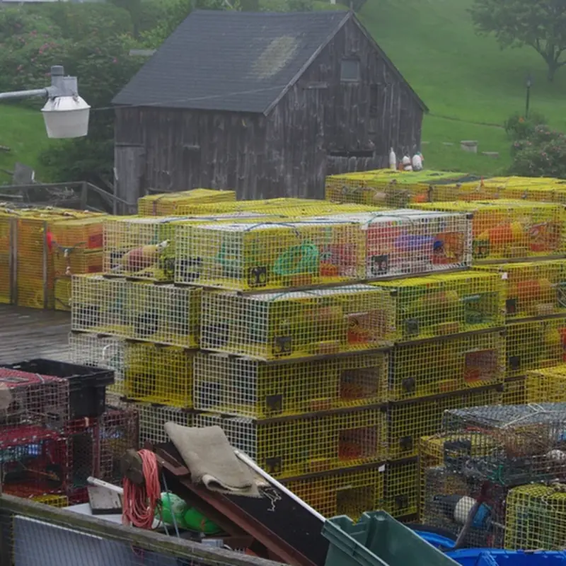 Shaw's Fish & Lobster Wharf