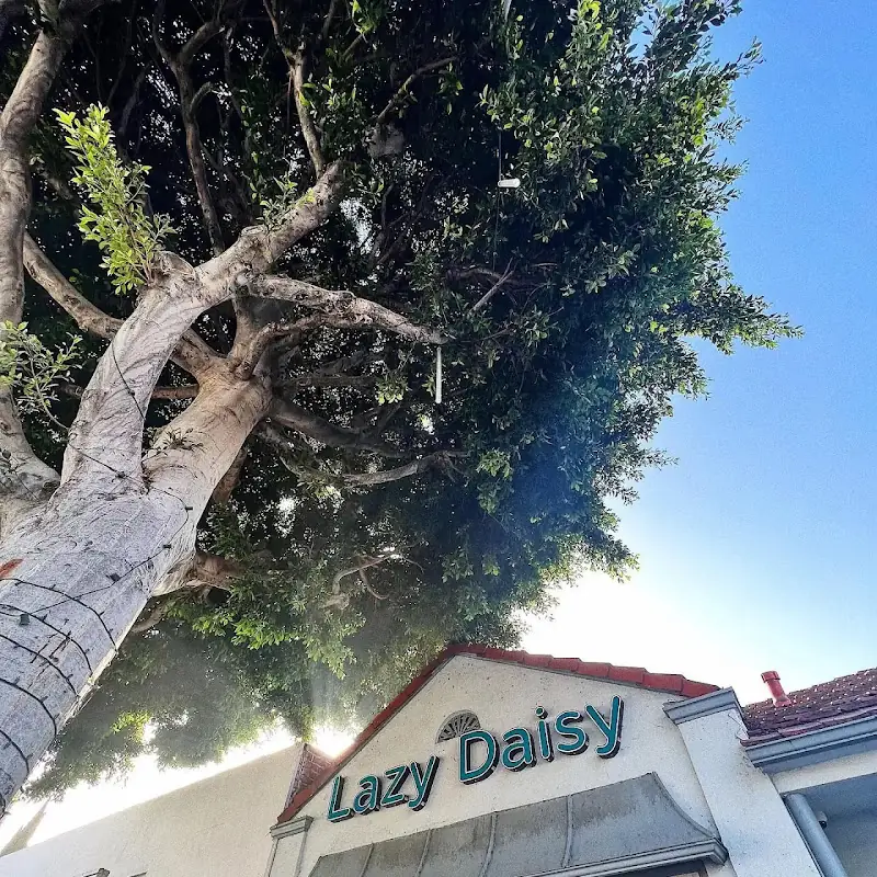 Lazy Daisy Beverly Hills