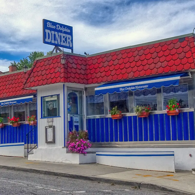 Blue Dolphin