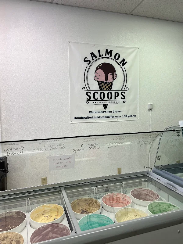 Salmon Scoops