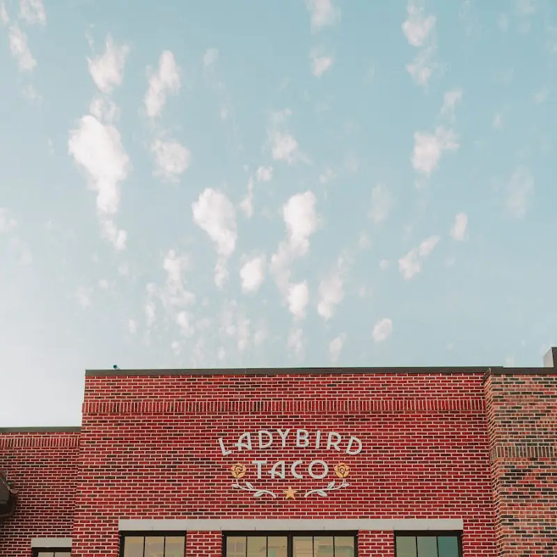 Ladybird Taco