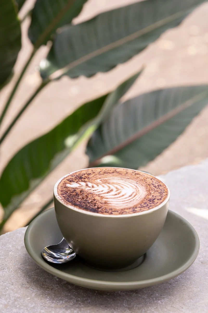Food & drink, Gather at The Sanctuary Cafe