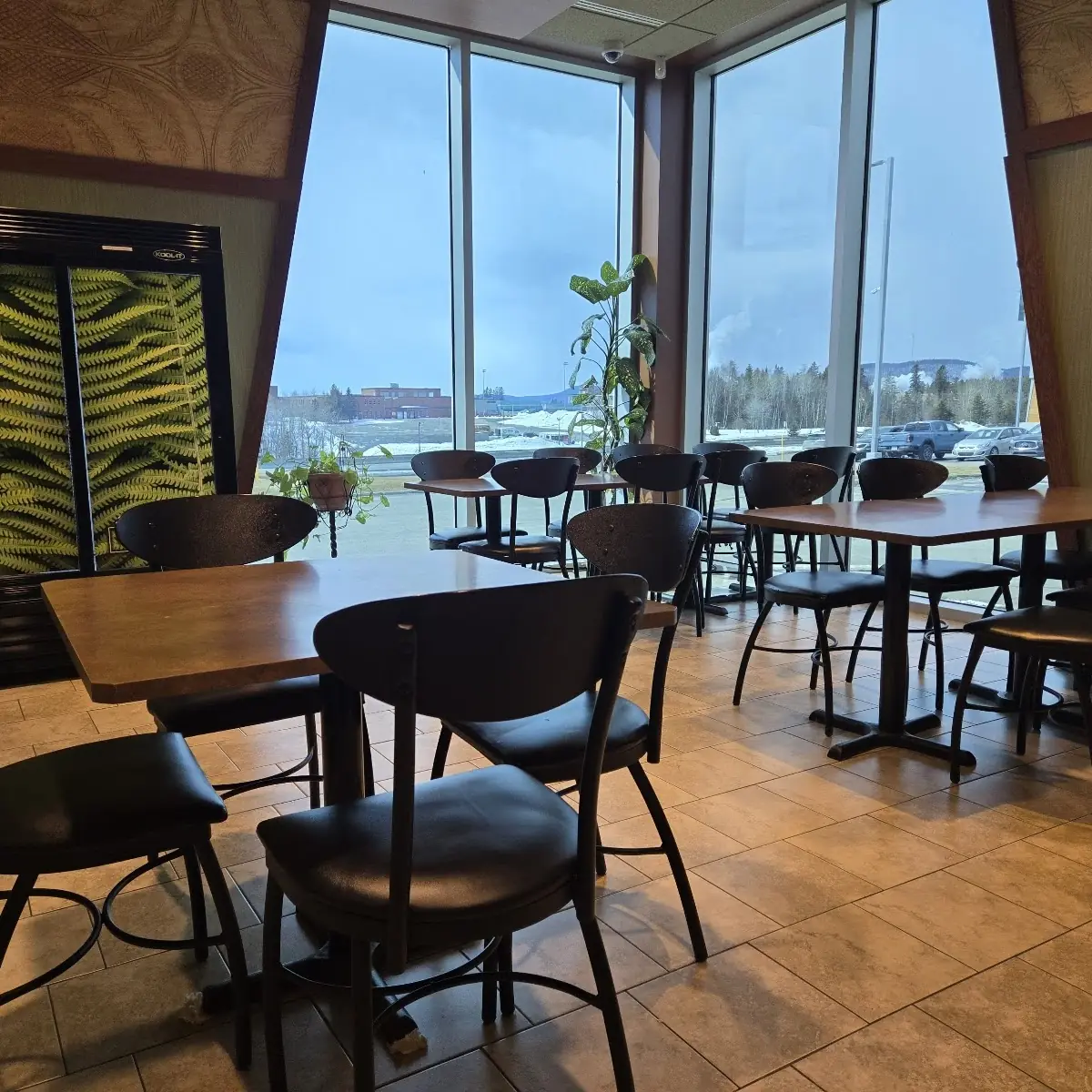 Vibe, Fiddlehead Café & Lounge