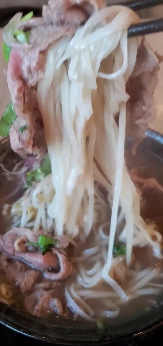 Food & drink, Basil Leaf Asian Fusion Restaurant - Highway 97 Noodle House