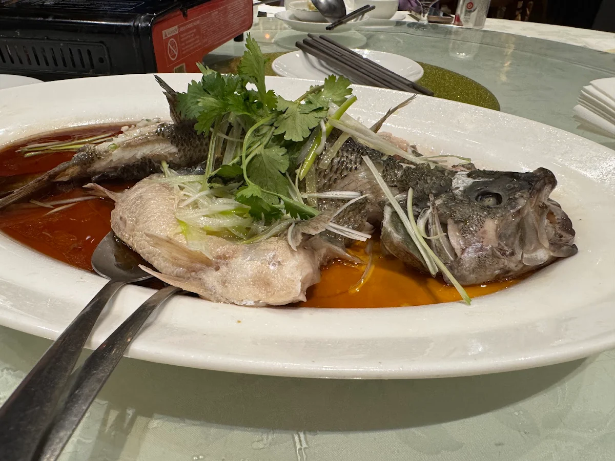 Food & drink, 漁港灣 Lobster Harbour