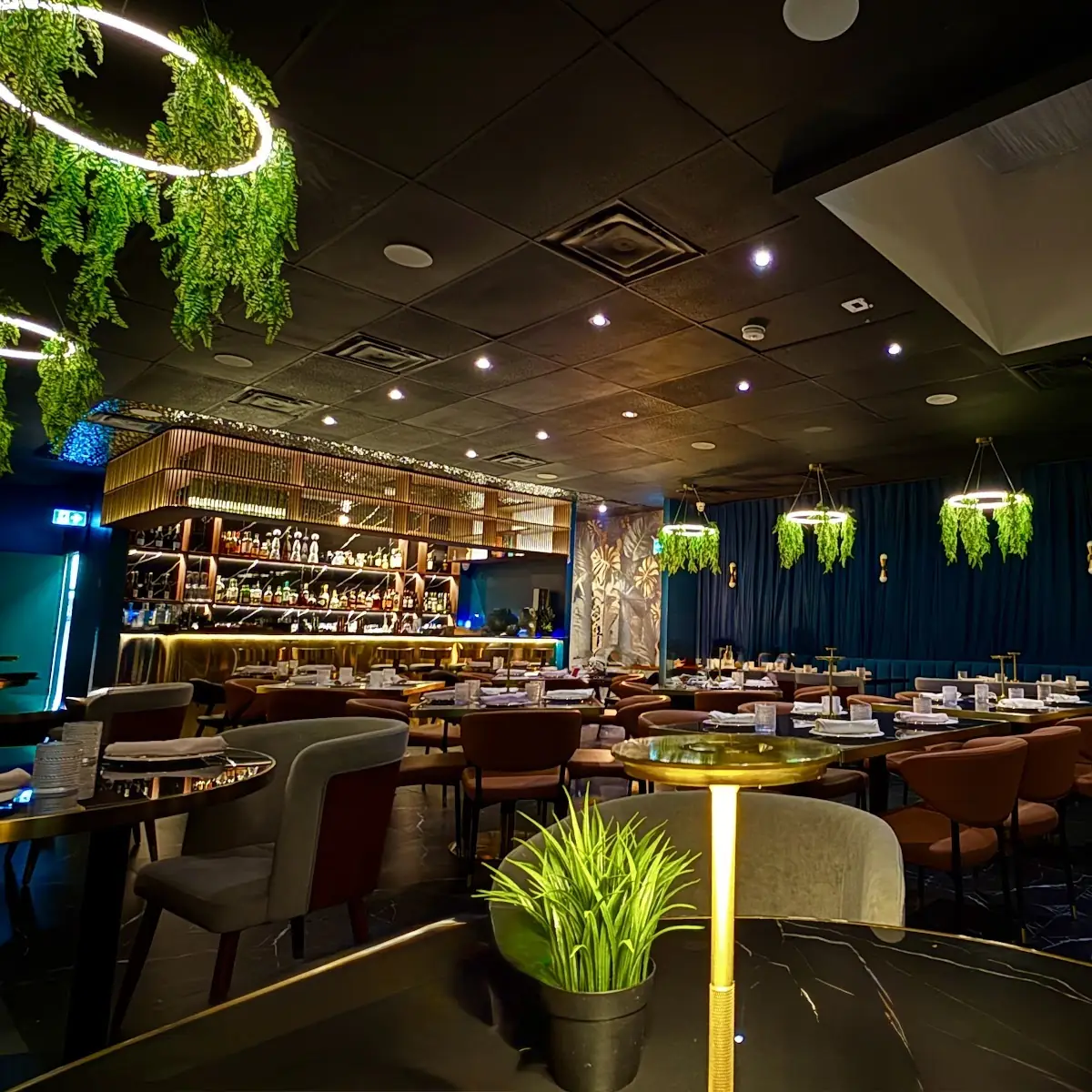 Vibe, Rutba - Modern Indian Restaurant + Bar