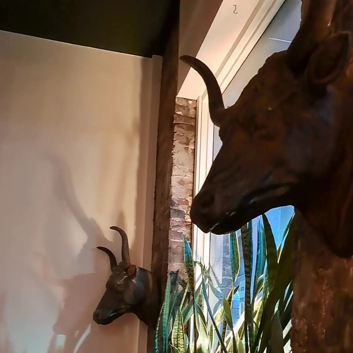 Vibe, Woods Restaurant & Bar