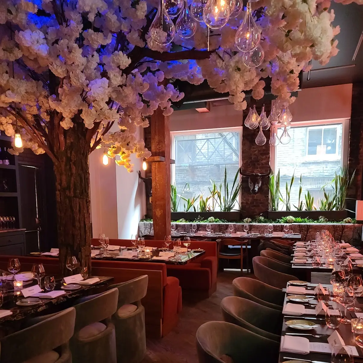 Vibe, Woods Restaurant & Bar