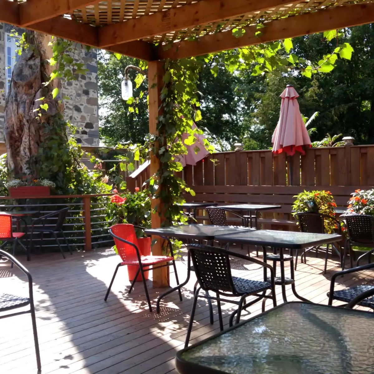 Vibe, La Bodega