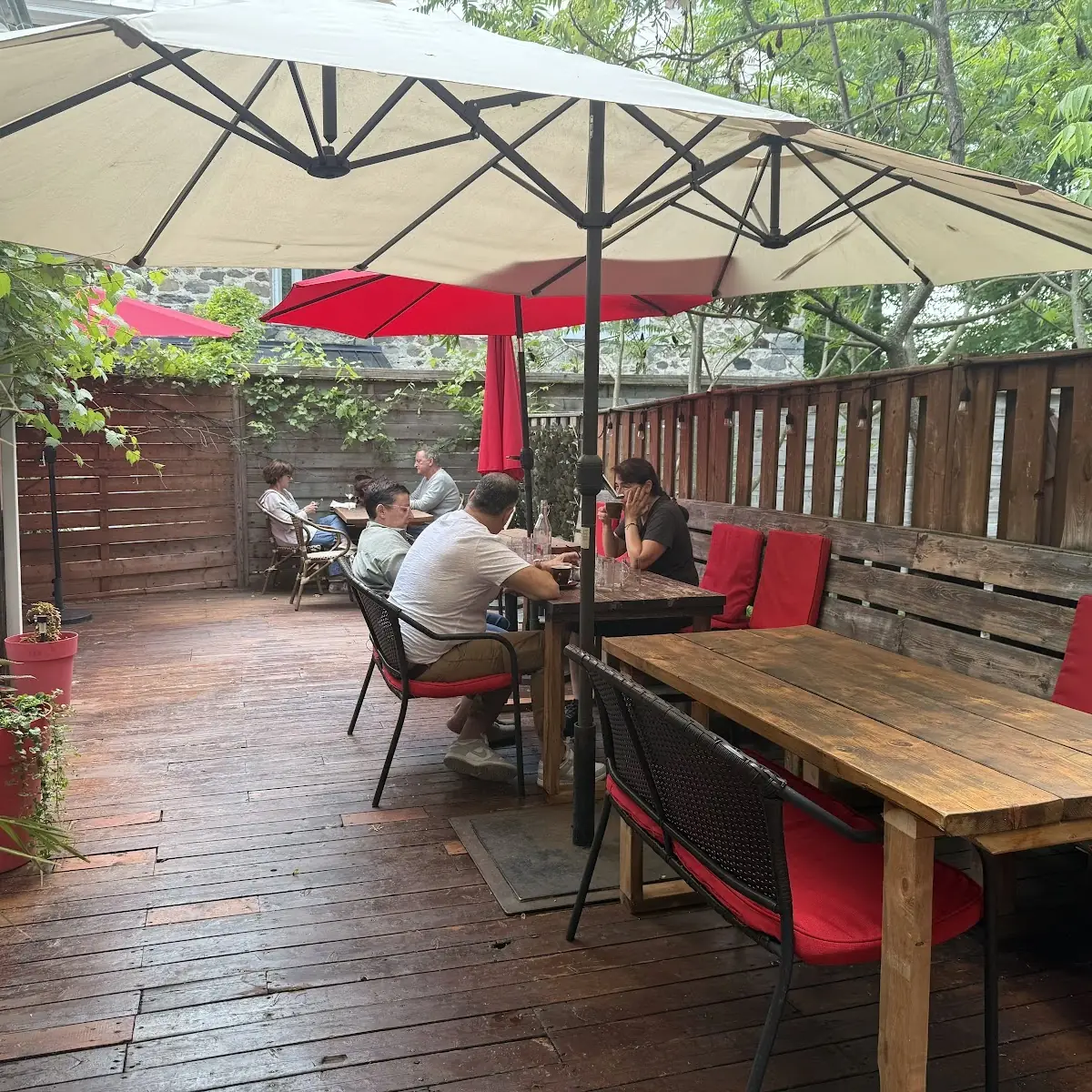 Vibe, La Bodega