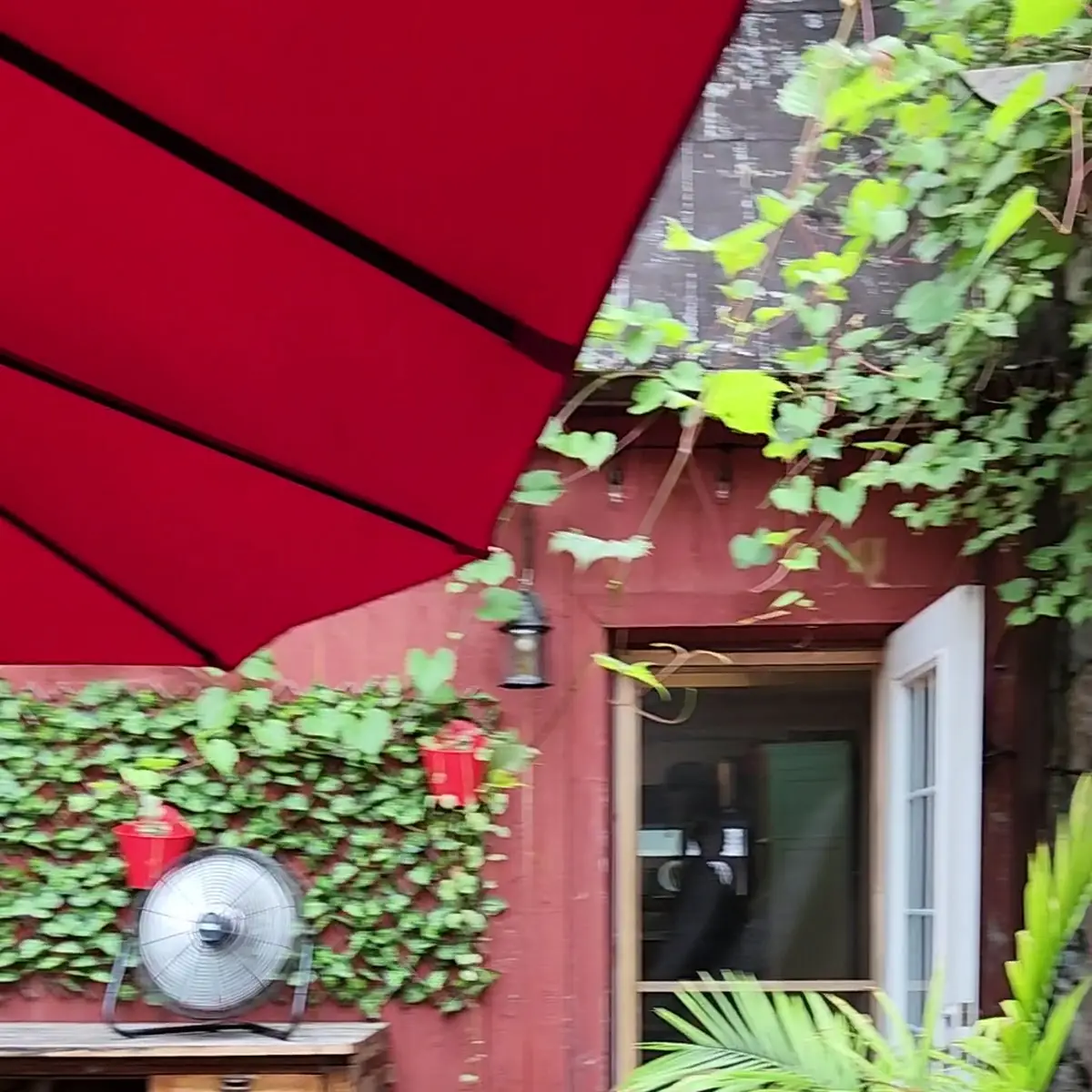 Vibe, La Bodega