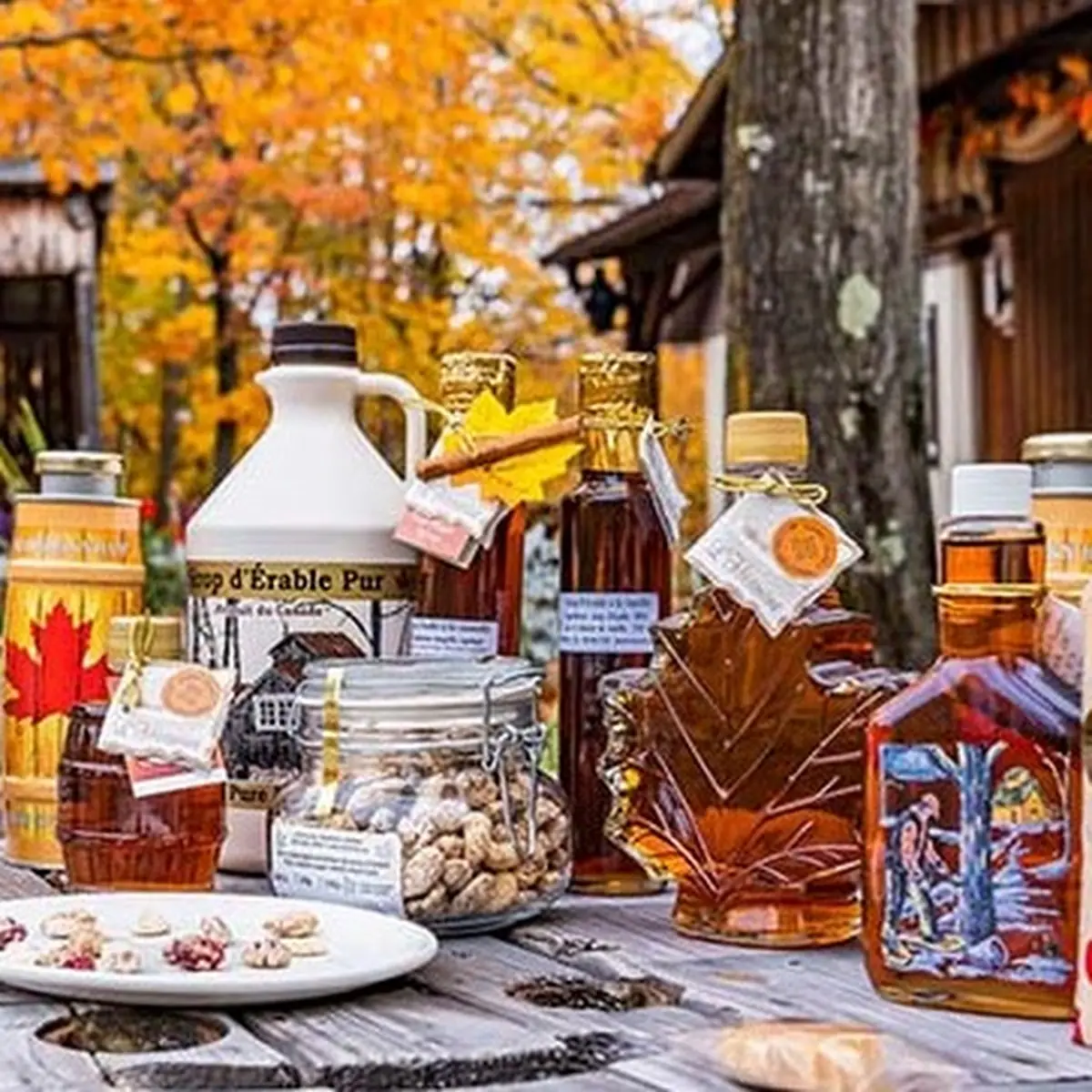 Food & drink, Érabliere L'Hermine Boutique & Bistro d'la Cabane