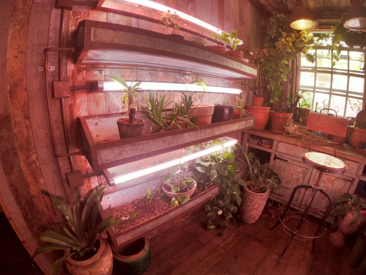 Vibe, The Potting Shed at The Grounds