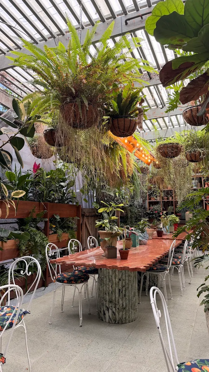 Vibe, The Potting Shed at The Grounds