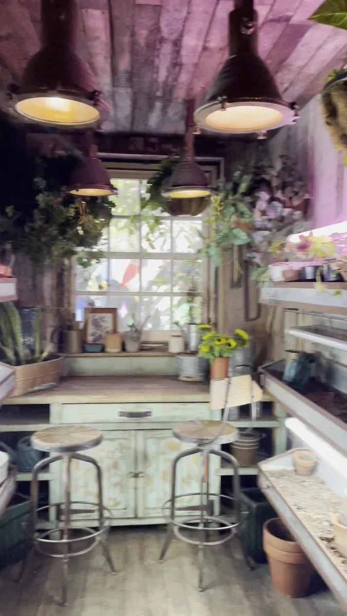 Vibe, The Potting Shed at The Grounds