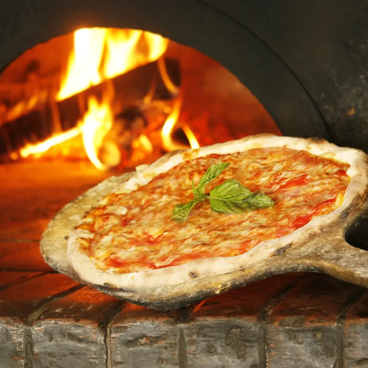 Food & drink, Antica Pizzeria & Ristorante