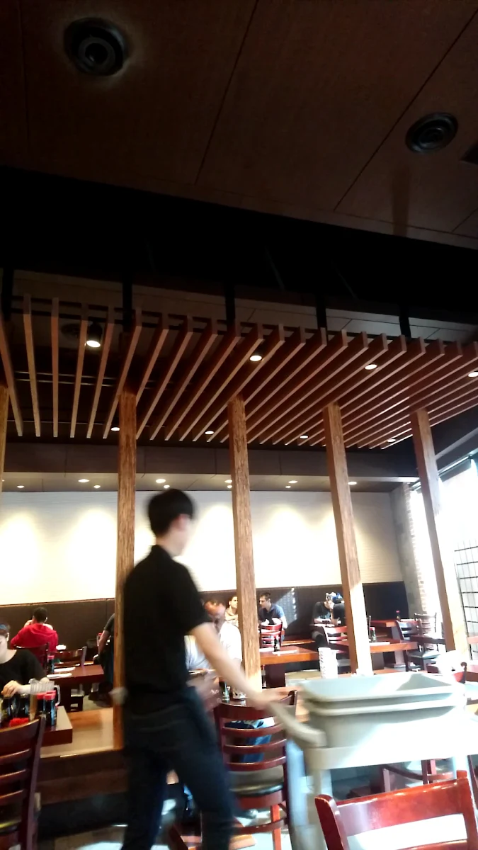 Vibe, Sushi Garden Highgate