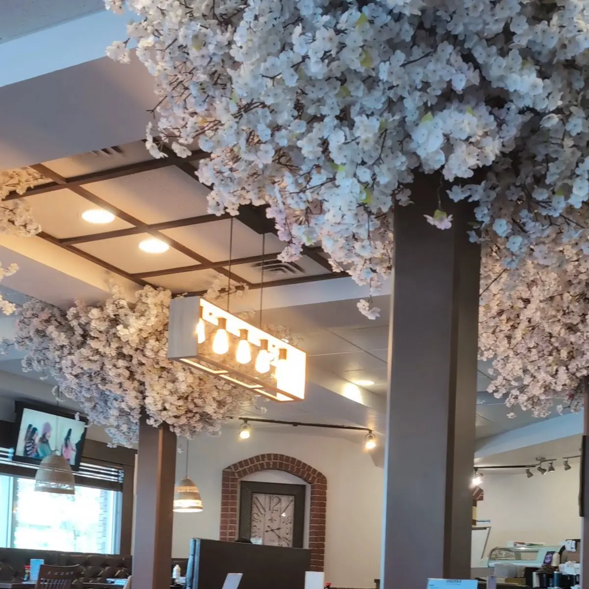 Vibe, Kojan Sushi & Korean Food