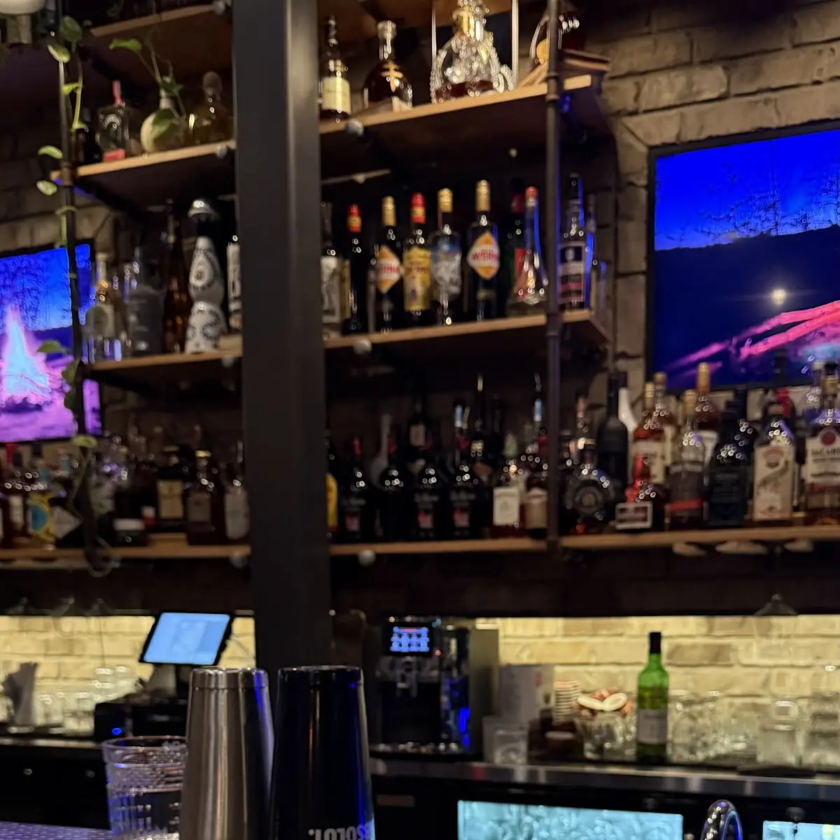 Vibe, Salute Resto + Bar
