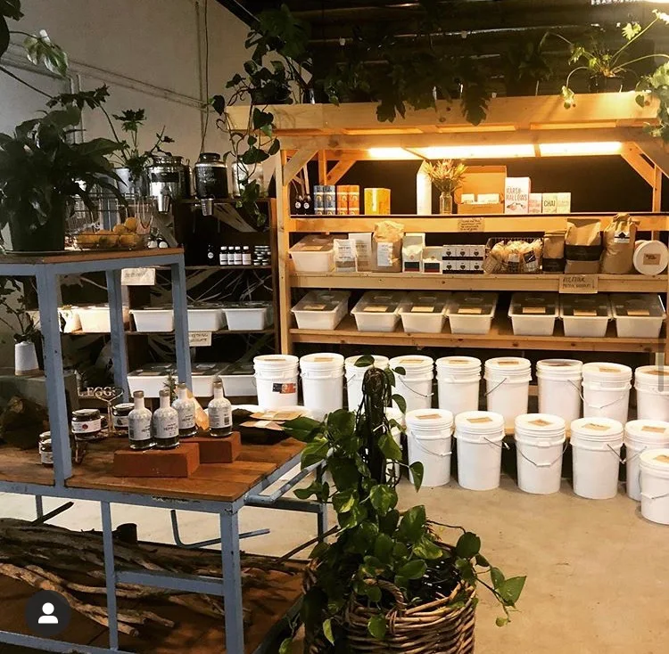 GROW - Anglesea cover