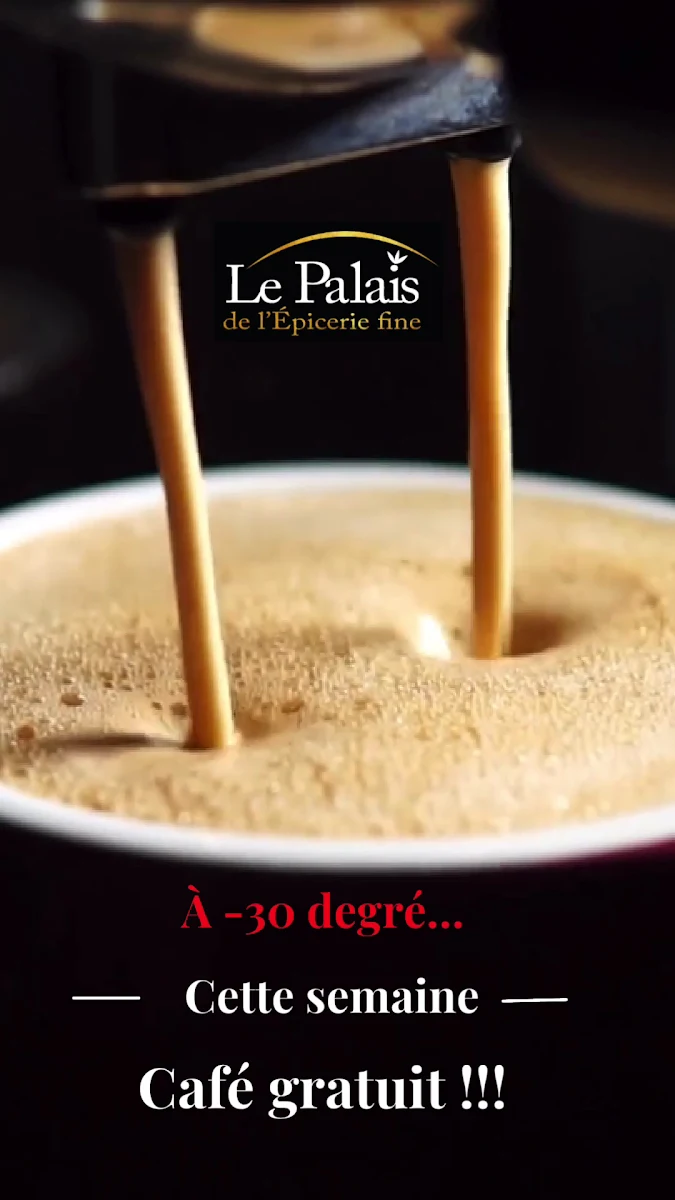 Food & drink photo 8