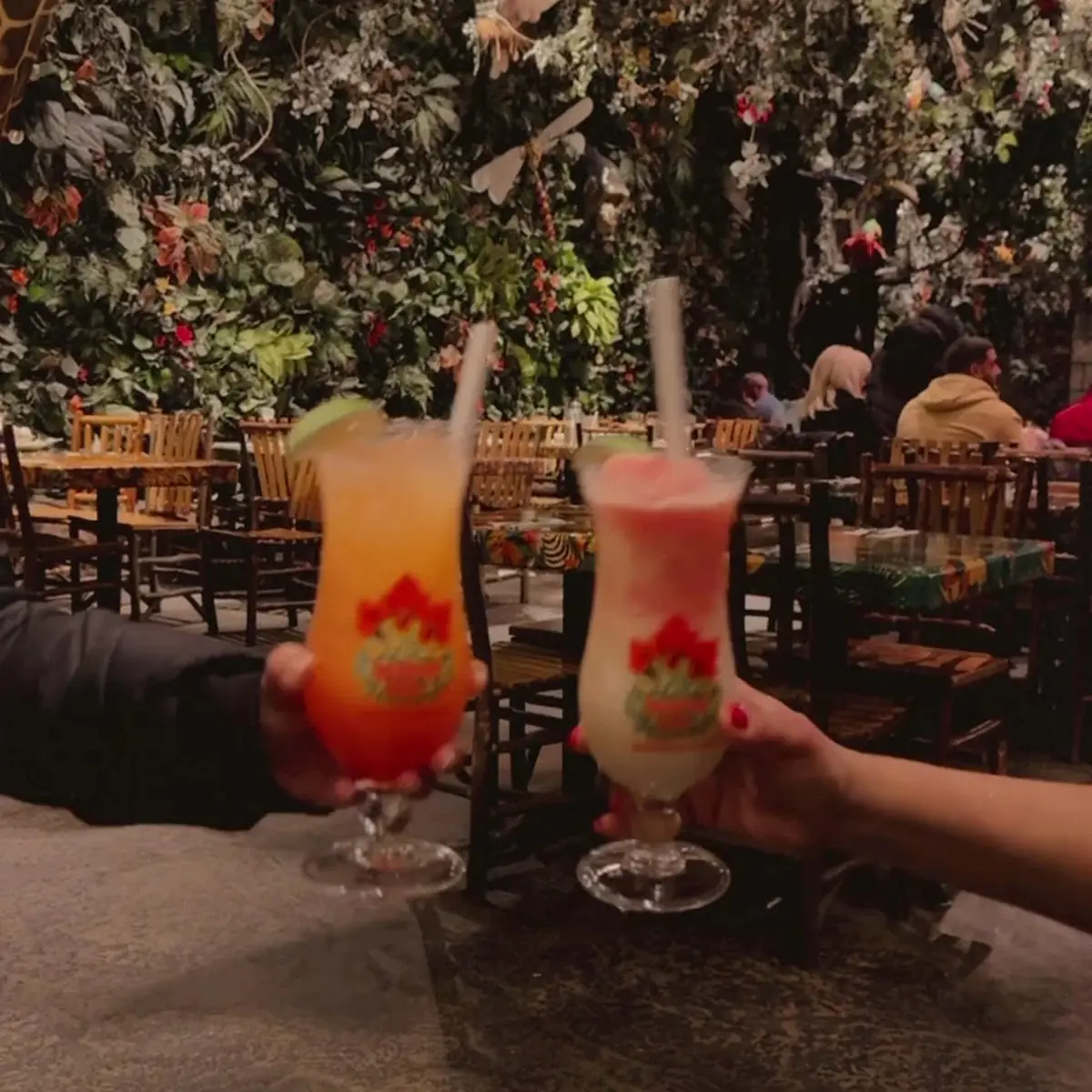 Food & drink, Rainforest Cafe Niagara Falls Canada