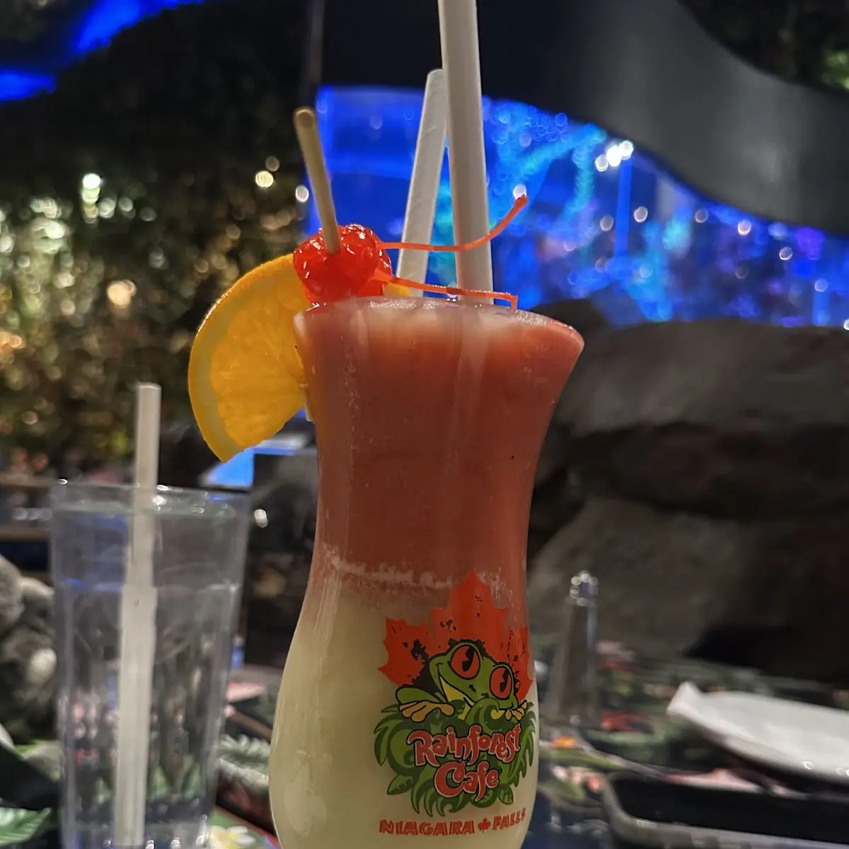 Food & drink, Rainforest Cafe Niagara Falls Canada