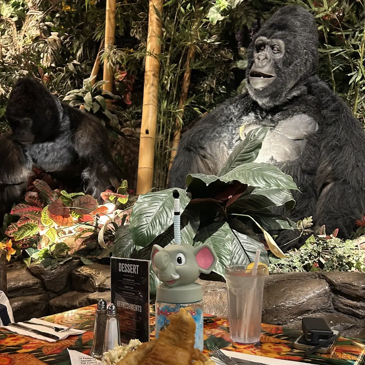 Food & drink, Rainforest Cafe Niagara Falls Canada