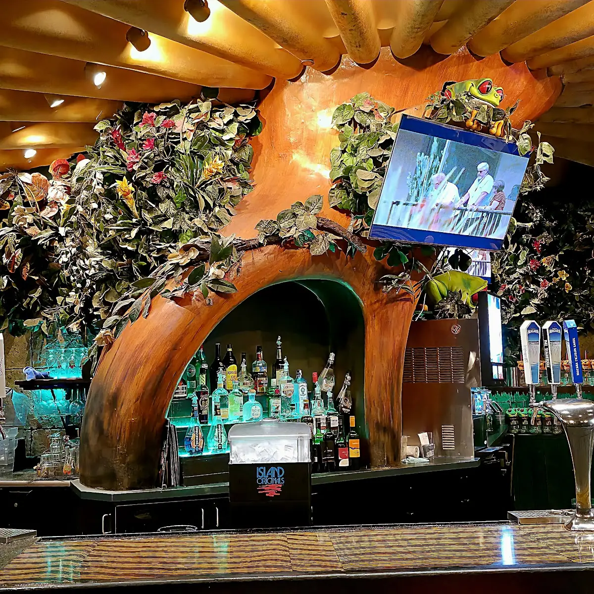 Vibe, Rainforest Cafe Niagara Falls Canada