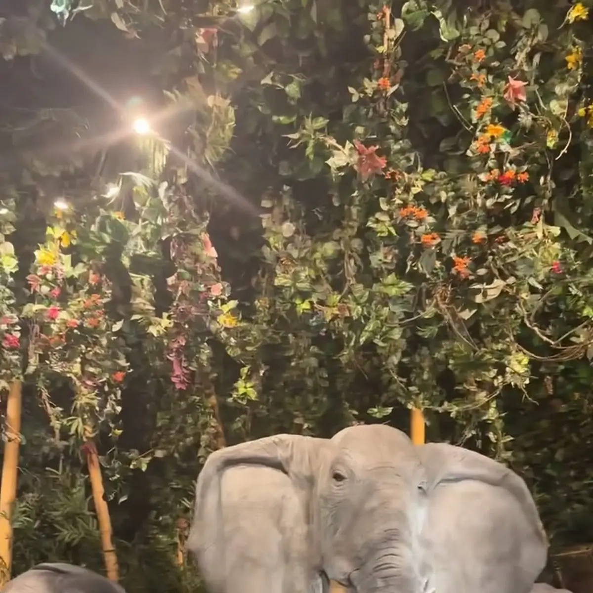 Vibe, Rainforest Cafe Niagara Falls Canada