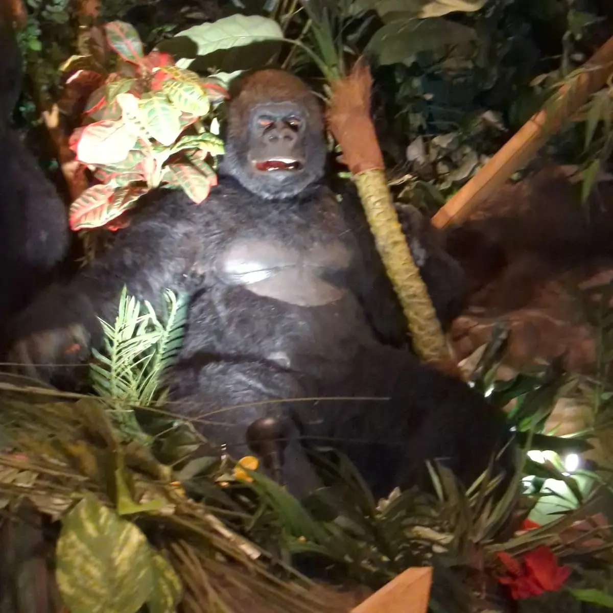 Vibe, Rainforest Cafe Niagara Falls Canada