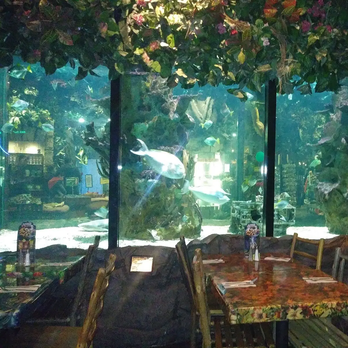Vibe, Rainforest Cafe Niagara Falls Canada