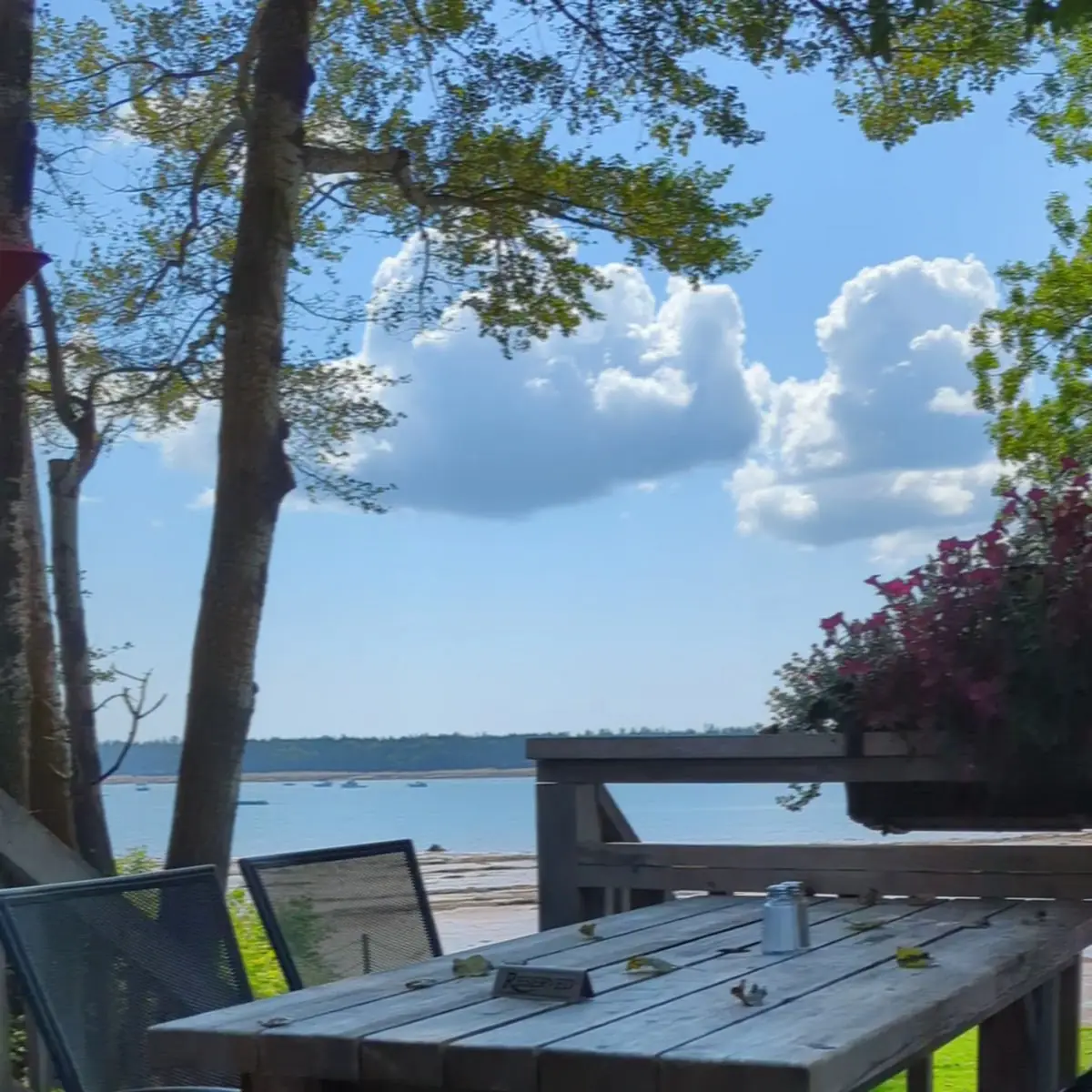 Vibe, Niger Reef Tea House (licensed restaurant)