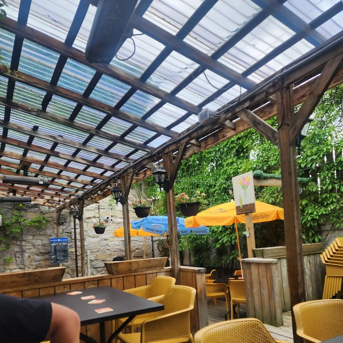 Vibe, Amadeus Cafe