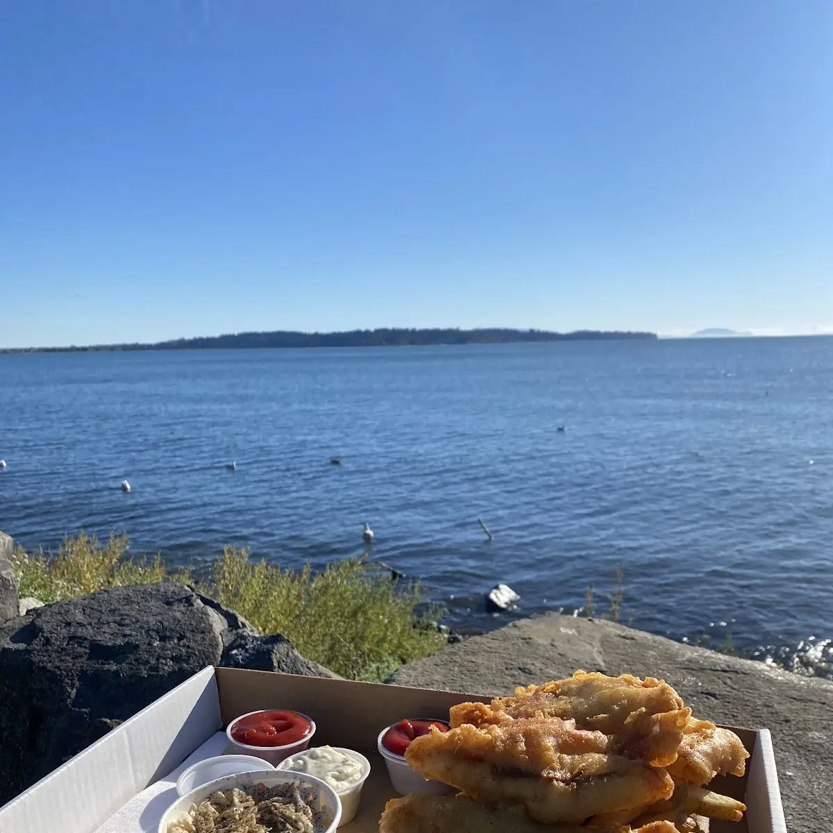 Food & drink, Moby Dick Restaurant