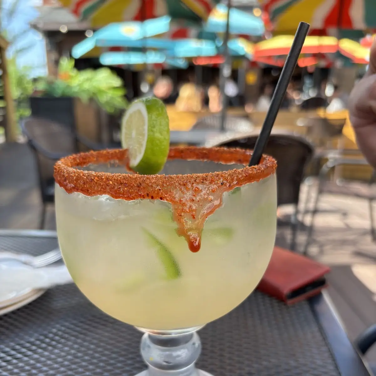 Food & drink, Taco N Tequila