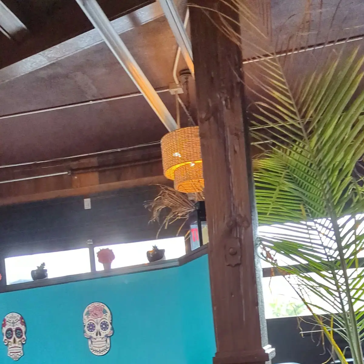 Vibe, Taco N Tequila
