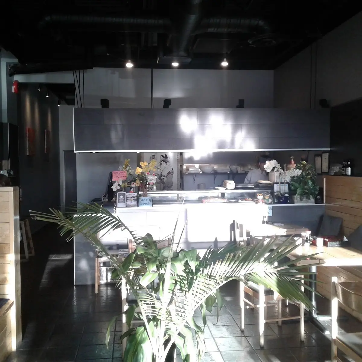 Vibe, Sasha Sushi