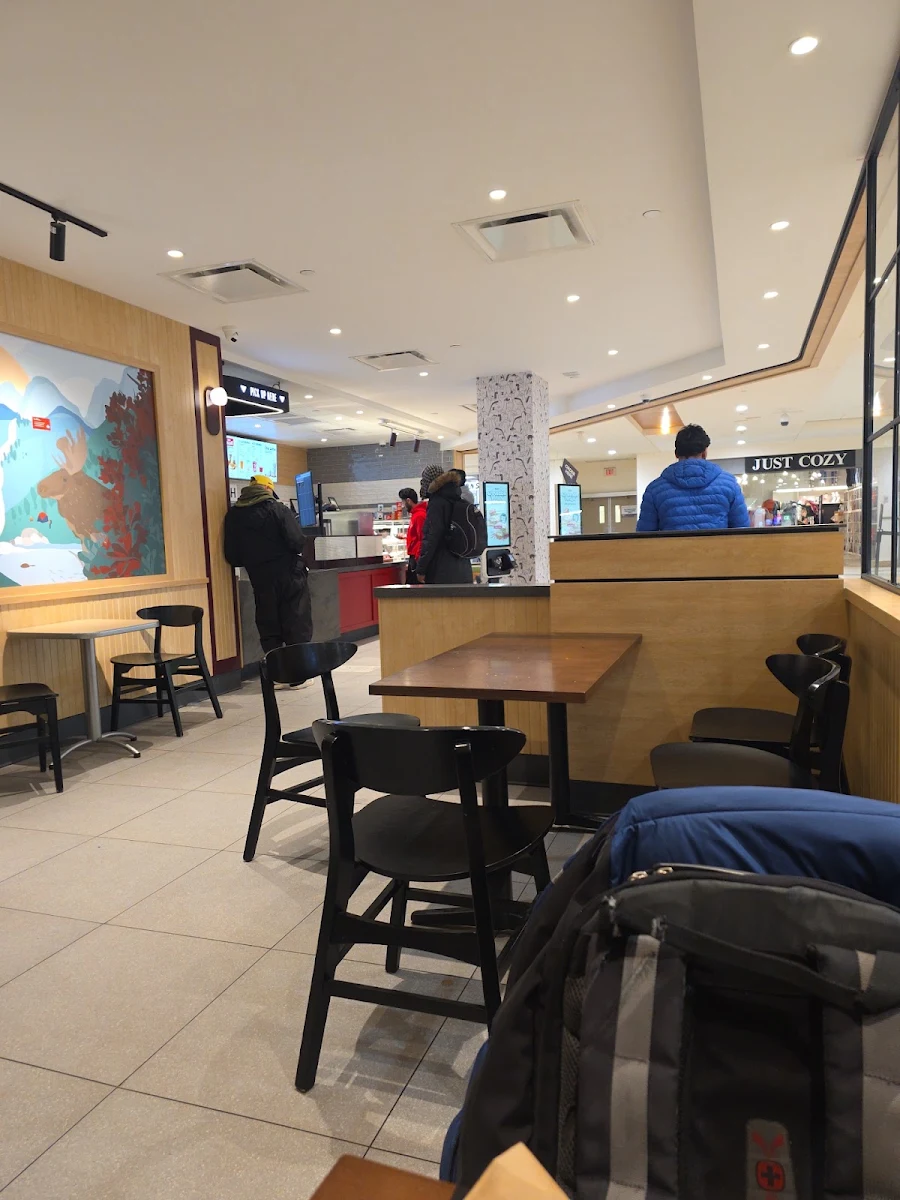Vibe, Tim Hortons