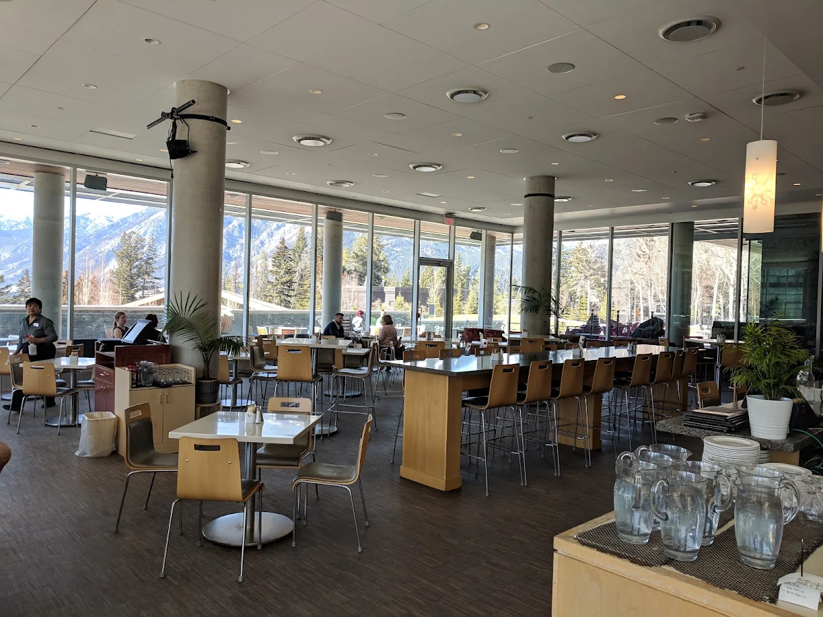 Vibe, Maclab Bistro