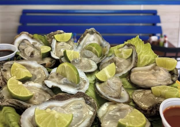 Fresh Oysters