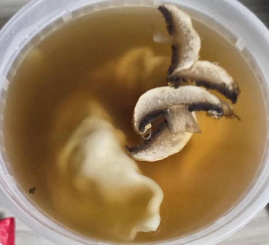 Gyoza Soup
