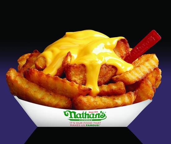 Cheese Fries