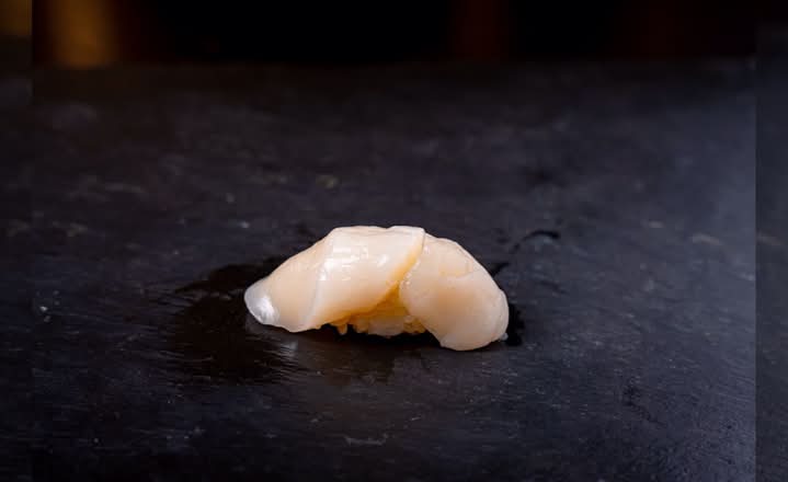 Scallop