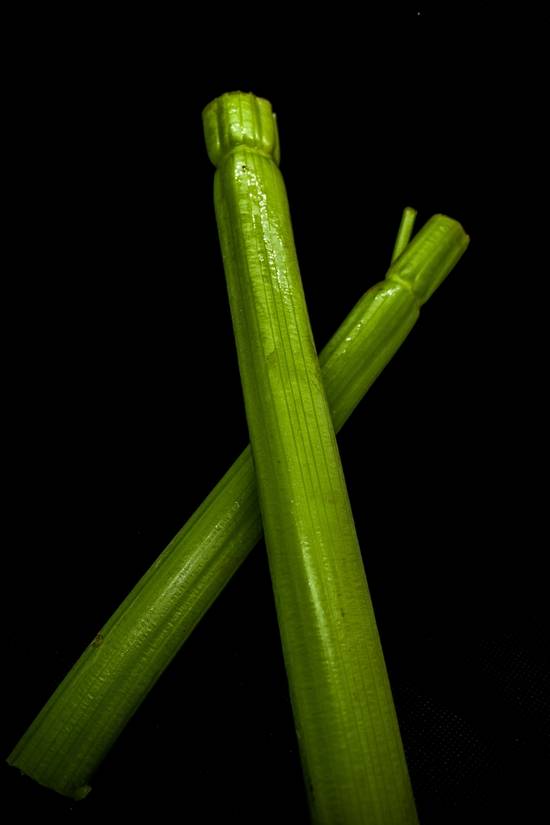 Celery Juice