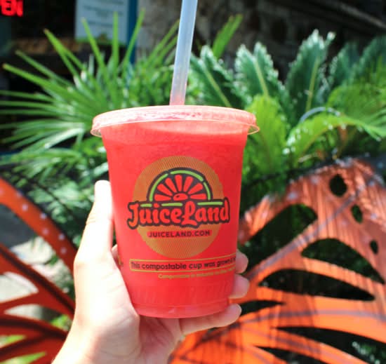 WATERMELON JUICE