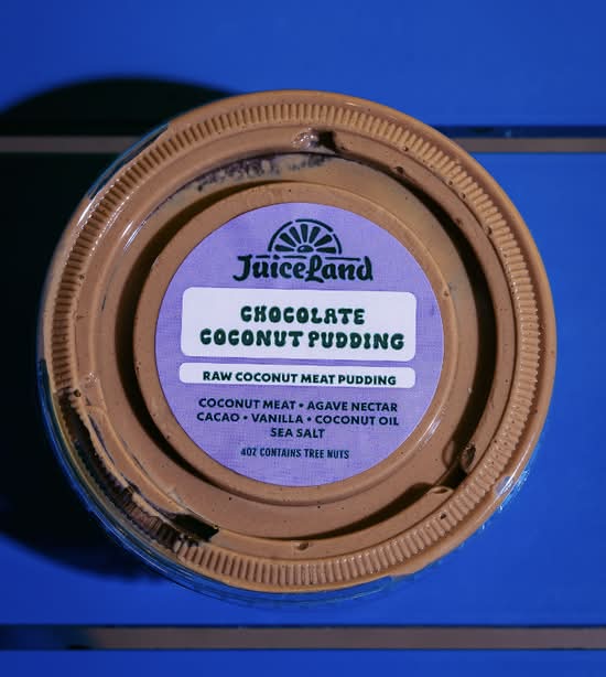 Chocolate Coconut Pudding