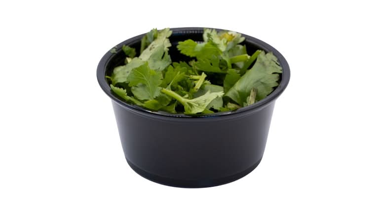 S/O Cilantro