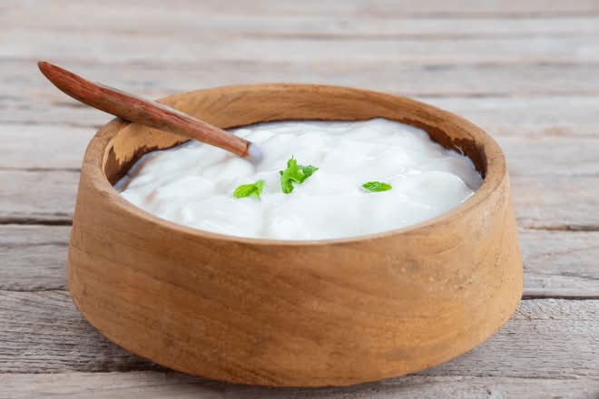 Plain Dahi
